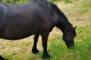 ホテル Agriturismo Olimpo