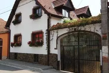 ペンション Casa De Vacanta Vidrighin