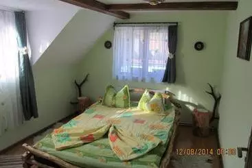 Pensão Casa De Vacanta Vidrighin