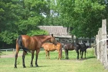 Hotel Misselhorner Hof