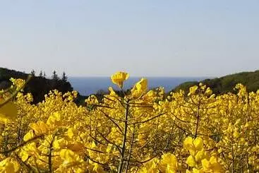 Majatalo Ferienwohnung Im Nationalpark Jasmund