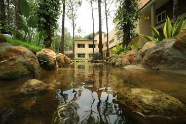 Livgrand Bison Rise Resort, Yercaud