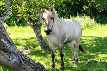 酒店 Retour Au Source