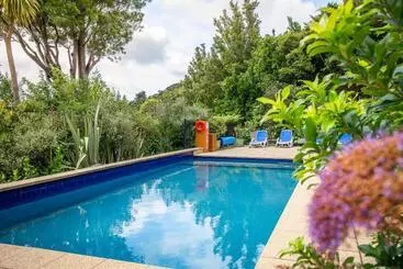 Hotel Bay Of Many Coves