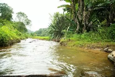 Pensió Room In Cabin   The Nest Bettathur, Coorg Ct 003