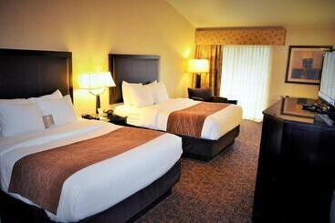 ホテル Comfort Inn & Suites