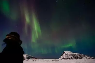 Hotelli Lofoten Links Lodges