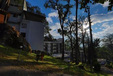 ホテル Munnar Black Forest Resort