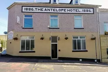 Hotel The Antelope