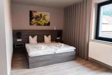 Hotel Zur Schonenburg