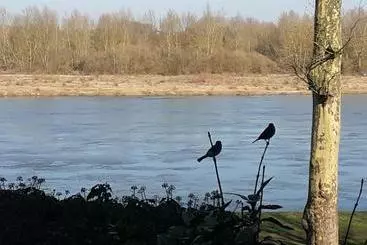 تختخواب و صبحانه Le Clos Joséphine