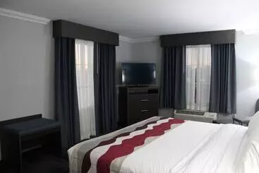 Otel Best Western Medical Center North Inn & Suites Near Six Flags