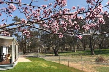 צימר Rosewood Cottage