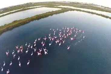 アパートメント Real Marina Residence