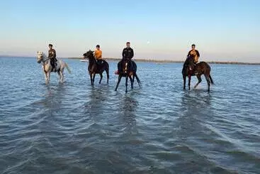 Hotelli Crystal Blue Rabigh 2