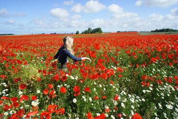 Bed and Breakfast Gästehaus Landgut Lischow