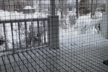 Szálloda Red Rock Inn