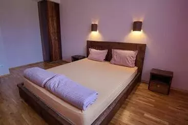 ペンション Guest House Villa Bozhenitsa