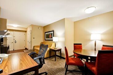 酒店 Hilton Garden Inn Tampa North Busch Gardens