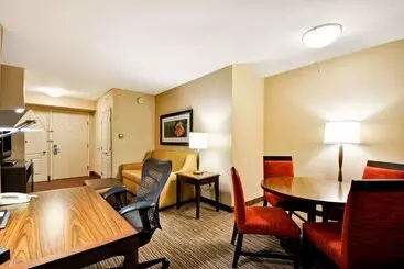هتل Hilton Garden Inn Tampa North Busch Gardens