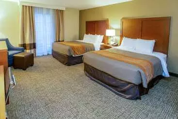 Otel Comfort Inn Downtown