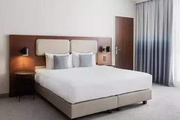 酒店 Courtyard By Marriott Basel