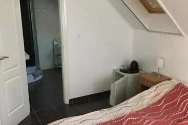 Pension Bor Vendégház