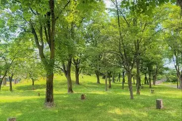 ホテル Amanek Asahikawa