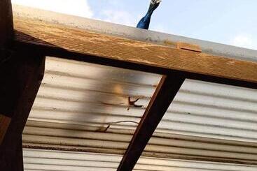 Отель Karriview