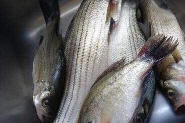 فندق Grandview Plaza Inn