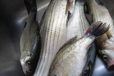 ホテル Grandview Plaza Inn