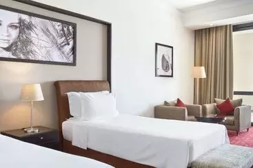 Radisson Blu Hotel & Convention Center, Alexandria