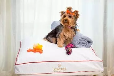 استراحتگاه Zoetry Agua Punta Cana All Inclusive