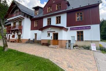 Pension Bystřenka