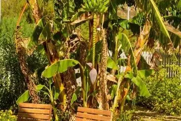 B&b Fermata 106 Da Carolina