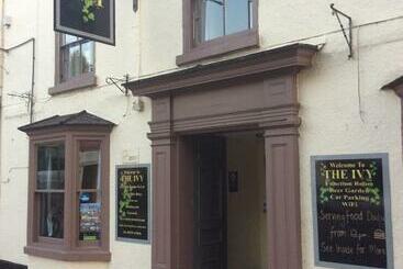 Bed and Breakfast The Ivy