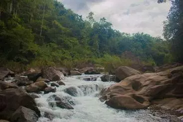 Resort Jungle River