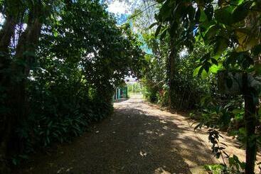 ベッドアンドブレックファースト Andrea Cristina