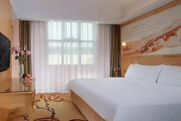 Hotel Vienna Hotei