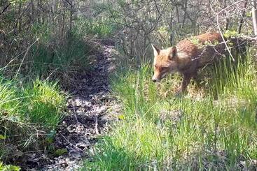 צימר Domaine Des Bois Argentés