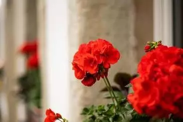 Retkeilymaja Gasthof Alte Schmiede G Luckendorf