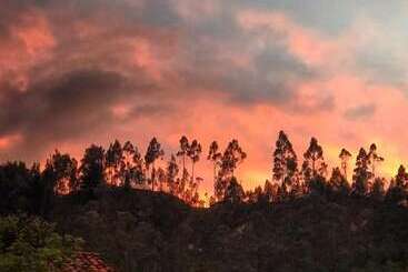 Gaia Sagrada Ayahuasca Retreat Center   Hostel