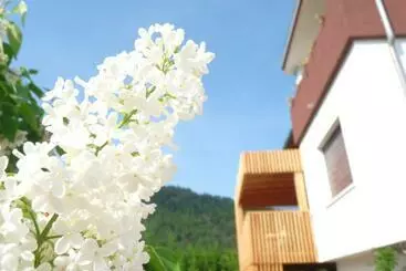 B&b Casa Sul Lago  Appartamenti