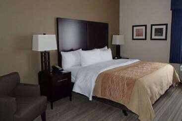 Отель Comfort Inn