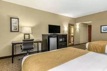 Hotel Comfort Inn & Suites Allen Park Dearborn