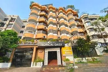Hotel Tropical Daisy