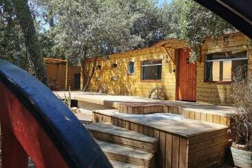 Bed and Breakfast Interlude