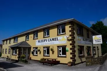 The Sleepy Camel Hostel