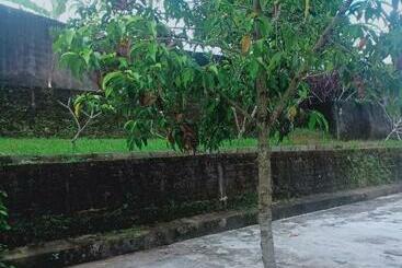 Pension Penginapan Mongan By Sila Dharma Mesari Management