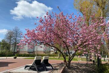 Bed and Breakfast Paauwze